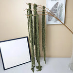 guirlande pampas blanc vert rose texture fibreuse naturelle rustique décoration intérieure mariage anniversaire festive