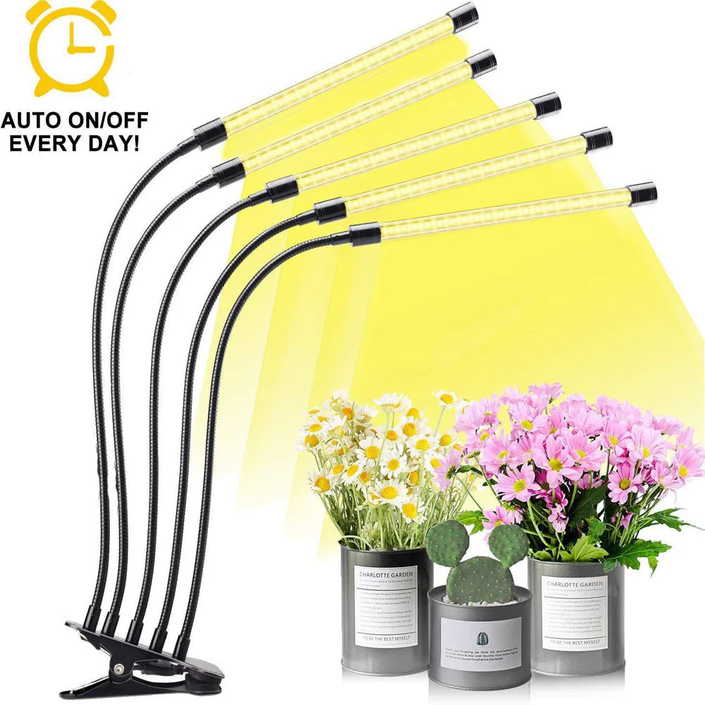 lampe croissance led noire pinces usb alimentation variateur aluminium moderneintérieur