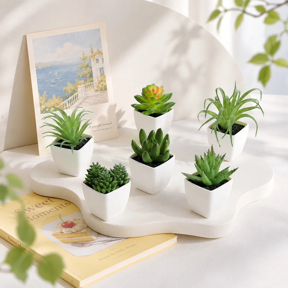 plantes artificielles vertes succulentes pots blancs moderne minimaliste intérieur décoration chambre jardin six pièces