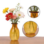 mini vase verre transparent décoration moderne petit pot fleurs micro paysage intérieur
