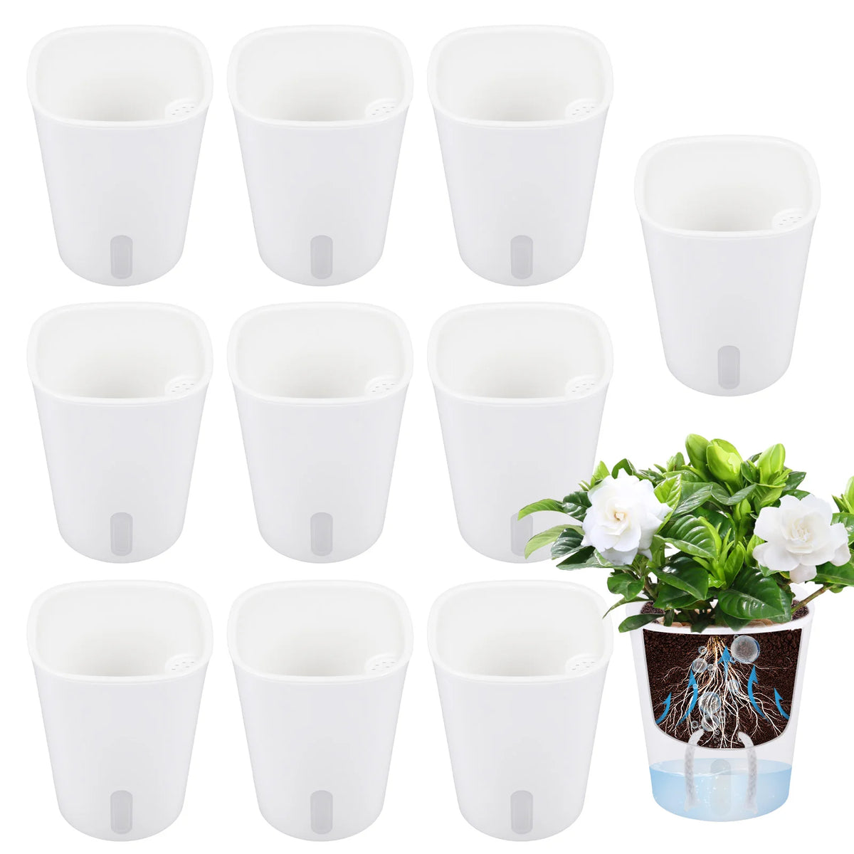 pots fleurs auto arrosants blancs moderne minimaliste terreau plantes potiron jasmin pothos succulente menthe