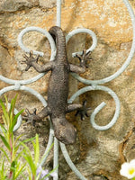 Decoration Gecko sur jardiniere suspendue au patio