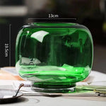 vase verre moderne transparent simple grande bouche table salon fleur hydroponie ornement double usage