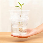 pot fleurs transparent absorption automatique eau grille perforations moderne plastiqueDecorationPlantes