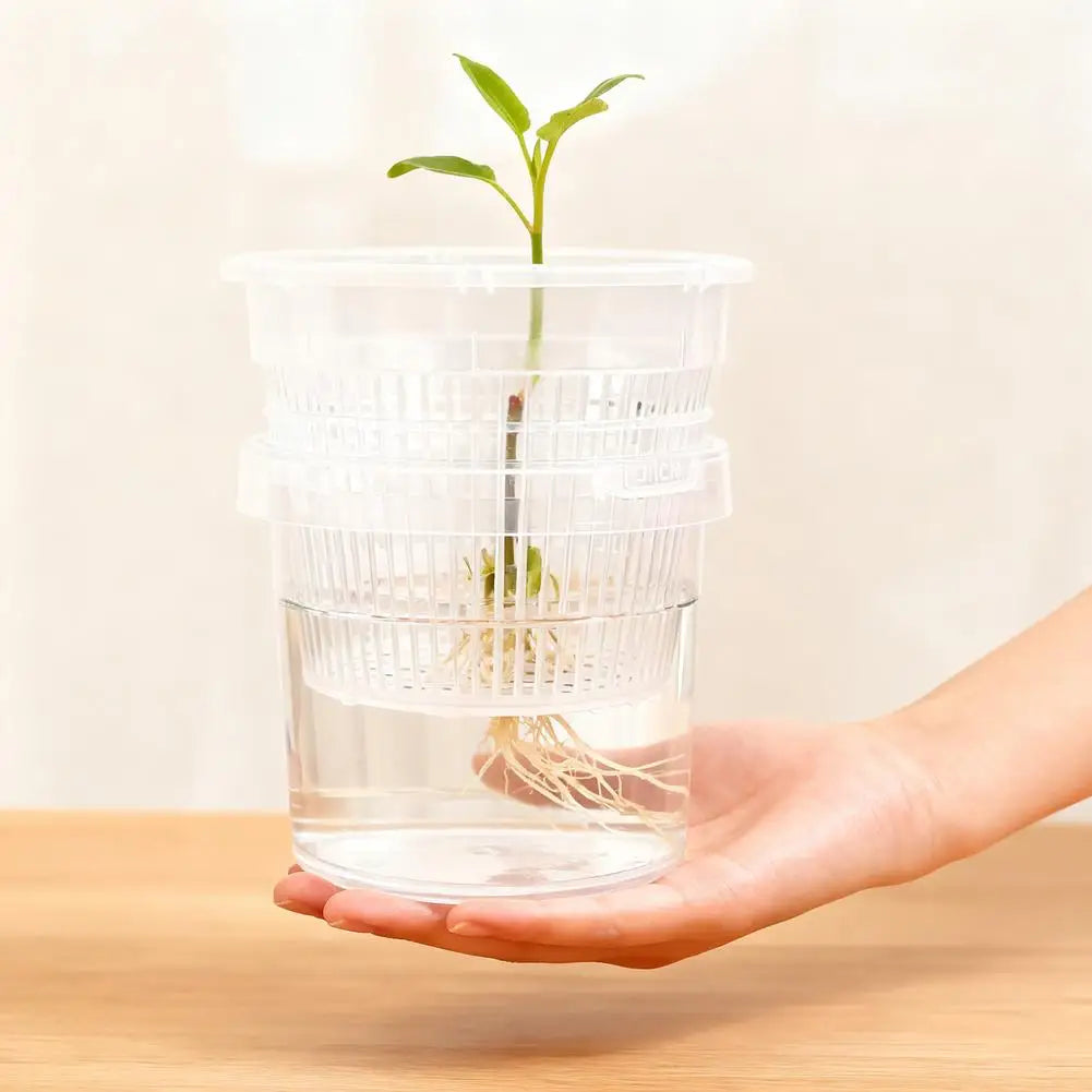 pot fleurs transparent absorption automatique eau grille perforations moderne plastiqueDecorationPlantes