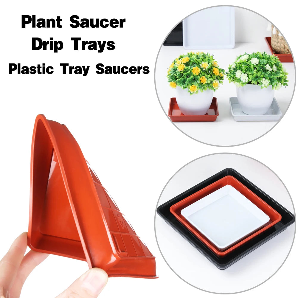 plateaux plante rouge noir blanc modernes 12x12cm 15x15cm 18x18cm 22x22cm 25x25cm 30x30cm