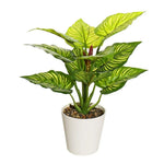 plante artificielle verte feuilles ovales moderne décoration intérieure pot branches naturelles