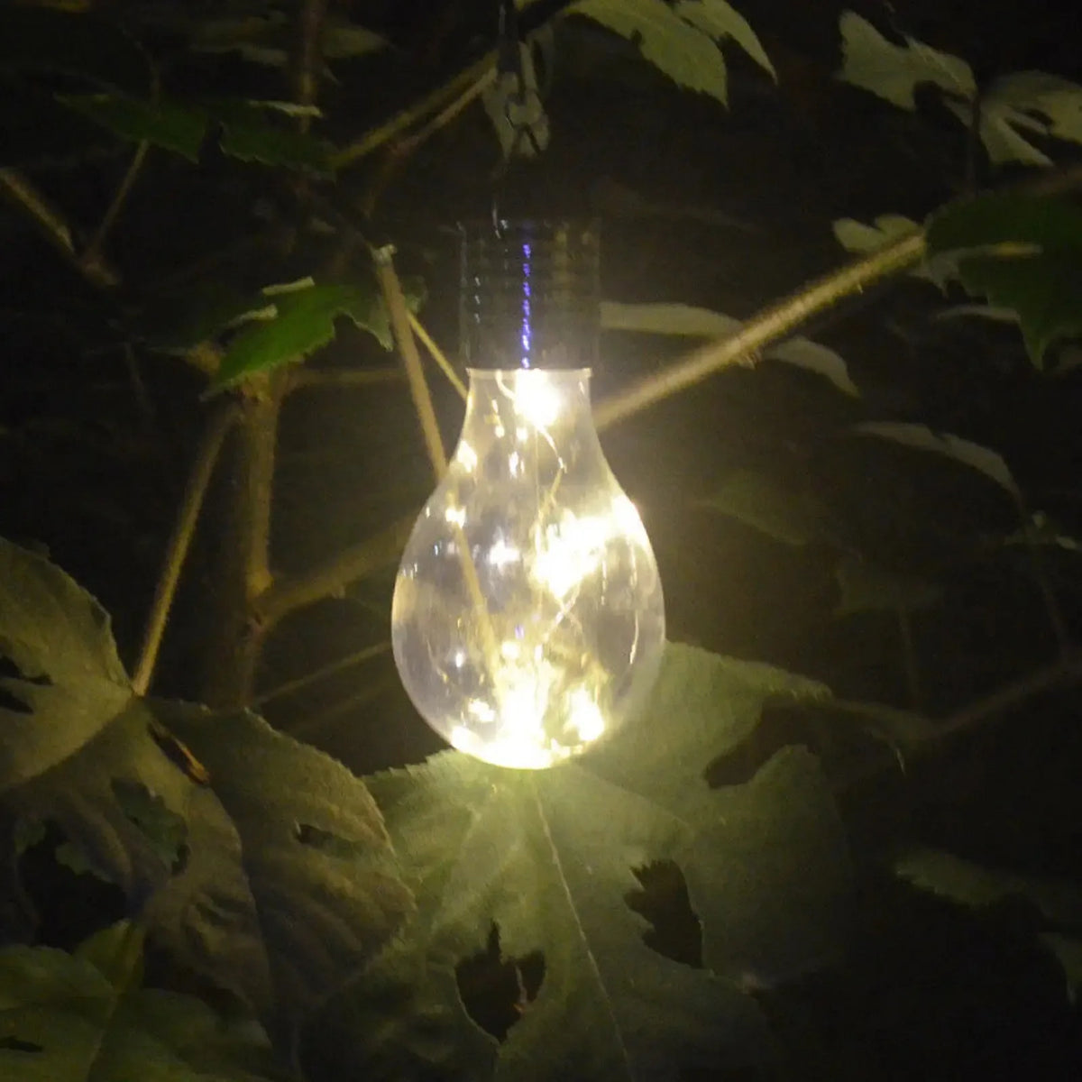 ampoule solaire transparente filament lumineux minimaliste clips fixation lumière blanche chaude étancheextérieurjardincamping
