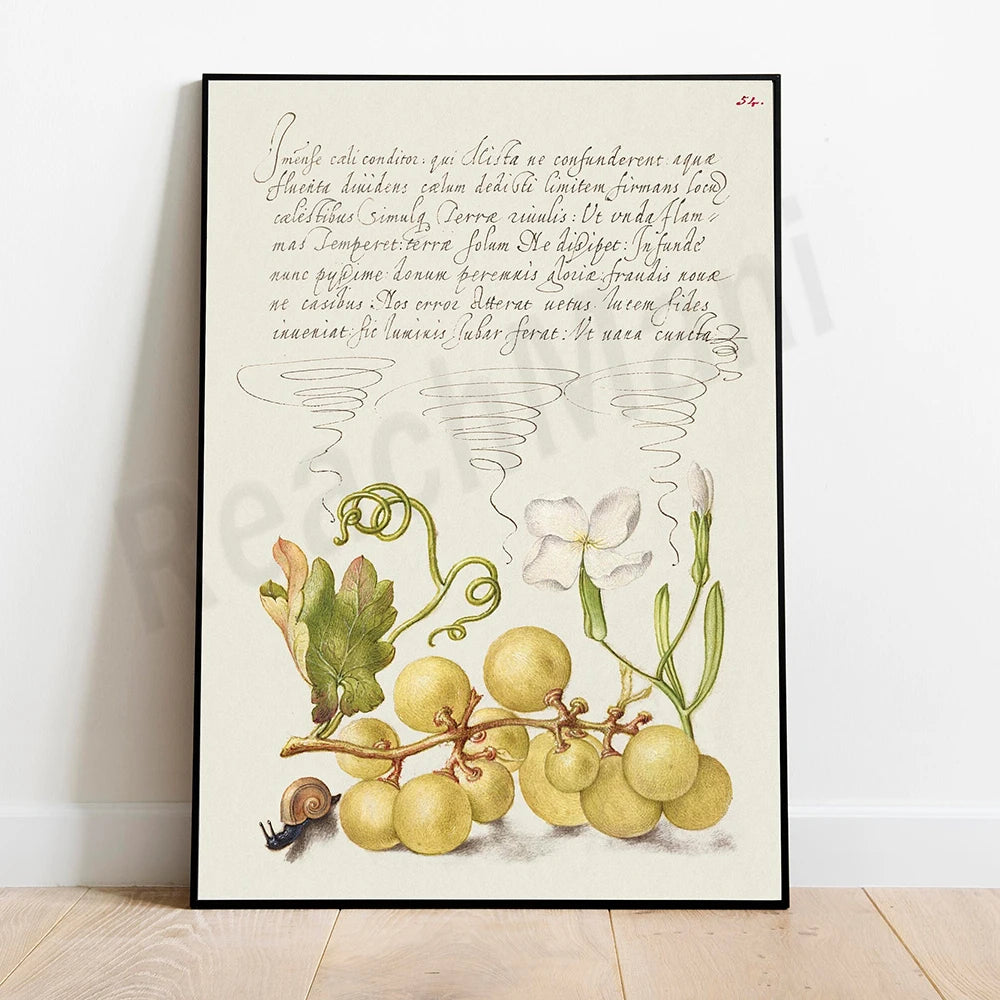 Une illustration botanique détaillée d'un bouquet de fruits dorés et de fleurs blanches, accompagnée d'un texte manuscrit évoquant une méditation philosophique.