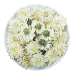 fleurs séchées blanches chrysanthèmes deco maison anniversaire baby shower intérieur naturel rustique