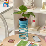 support plante moderne spirale adhésif pots plante vert bleu orange jaune