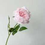 fleurs artificielles pivoine rose clair douces ondulées mariage anniversaire intérieur decoration