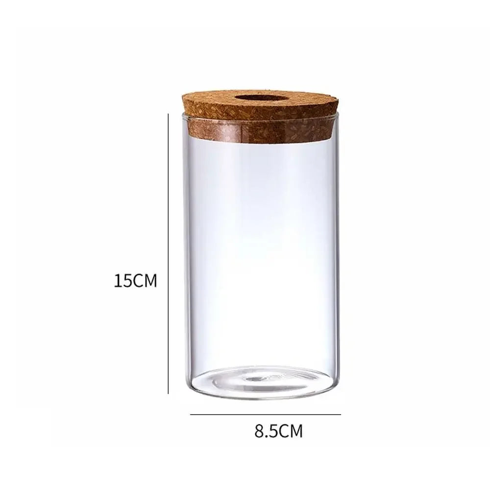 Pot plante hydroponique transparent moderne minimaliste 8cm 10cm 12cm 15cm 20cm