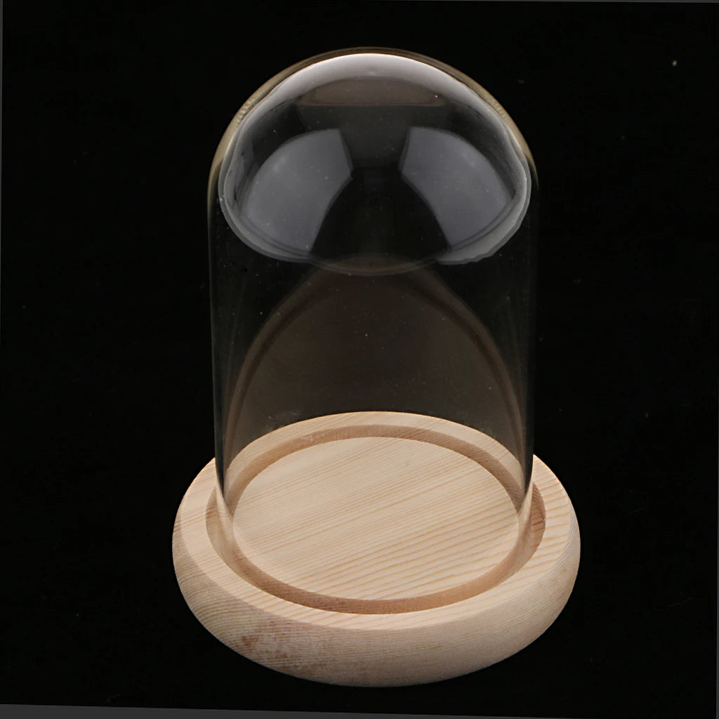 cloche verre transparent cloche verre base bois naturel vase minimaliste décoration intérieure transparent