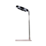 lampe led plante noire blanche rose moderne minimaliste réglable usb autonomie