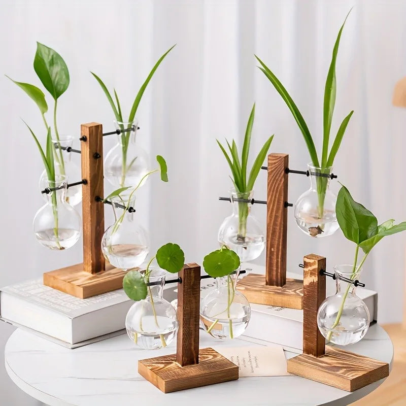 support plantes verre transparent bois brun clair minimaliste moderneintérieur decorationhydroponie