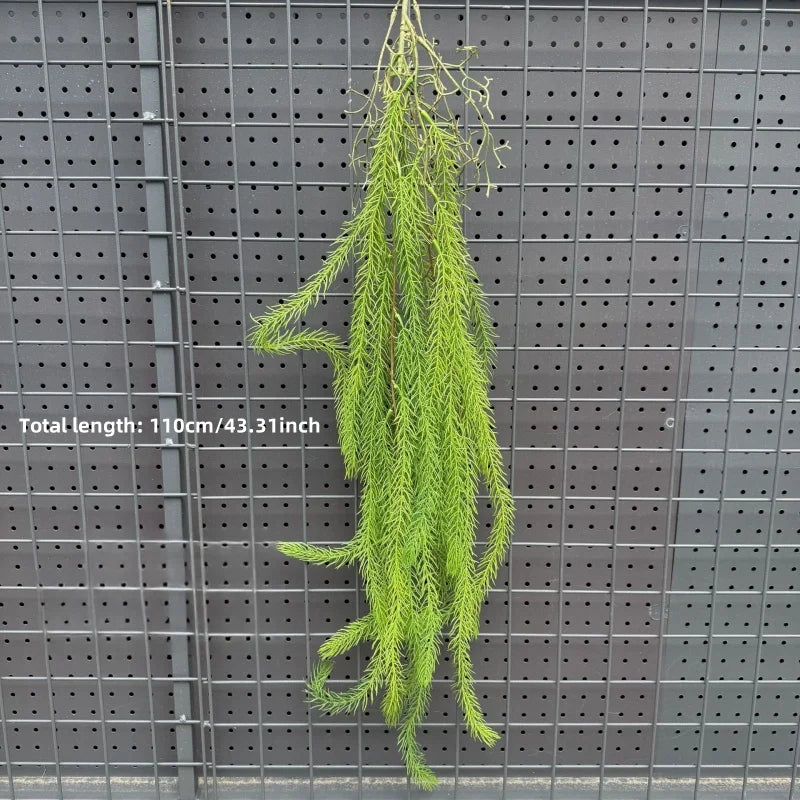 plantes suspendues vigne feuilles vertes rustiques extérieures accrochées naturellement exposéesextérieur decoration