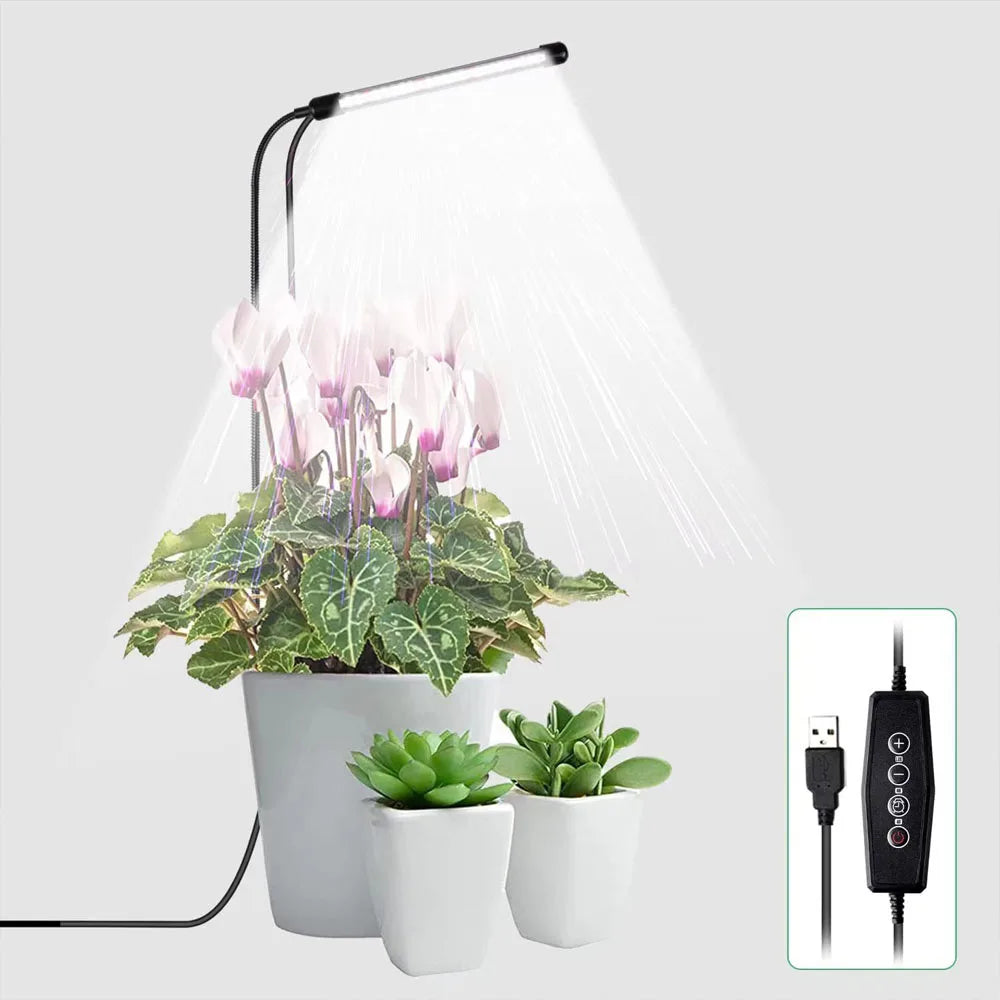 lampe led croissance plante spectre complet 6000k adhésif moderne câble usb commande distance