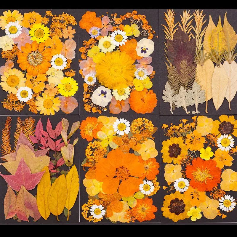 fleurs séchées orange naturelles artisanal décoration maison intérieur variées rouges vertes jaunes blanches bricolage