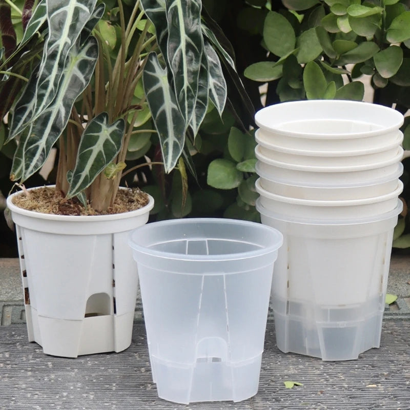 pots plantes auto arrosants transparents moderne blanc plateau d'eau