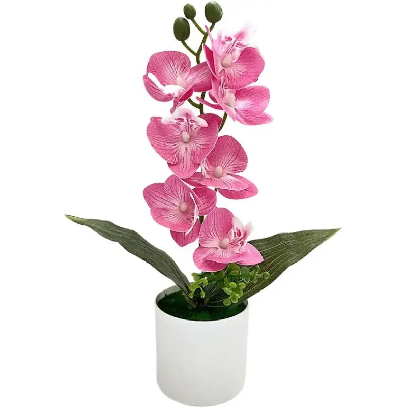 décoration intérieure orchidées artificielles fleurs blanches roses bleues jaunes modernes maison