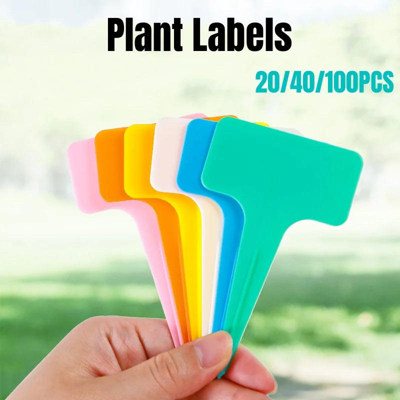 étiquettes plantes couleur moderne pratique jardin pot semis decoration bleu rose vert jaune violet