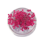 décorations nail art fleurs séchées violet rose vert rouge orange blanc naturel strass ongles