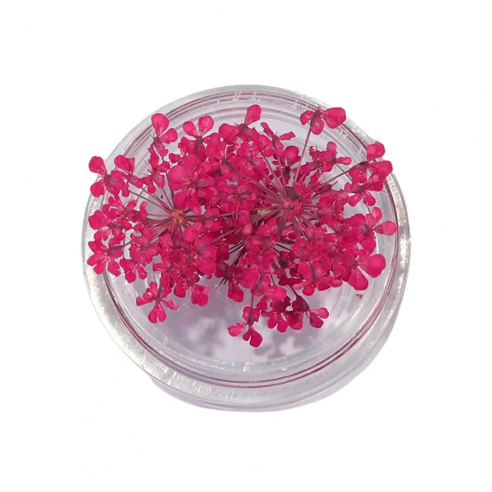 décorations nail art fleurs séchées violet rose vert rouge orange blanc naturel strass ongles