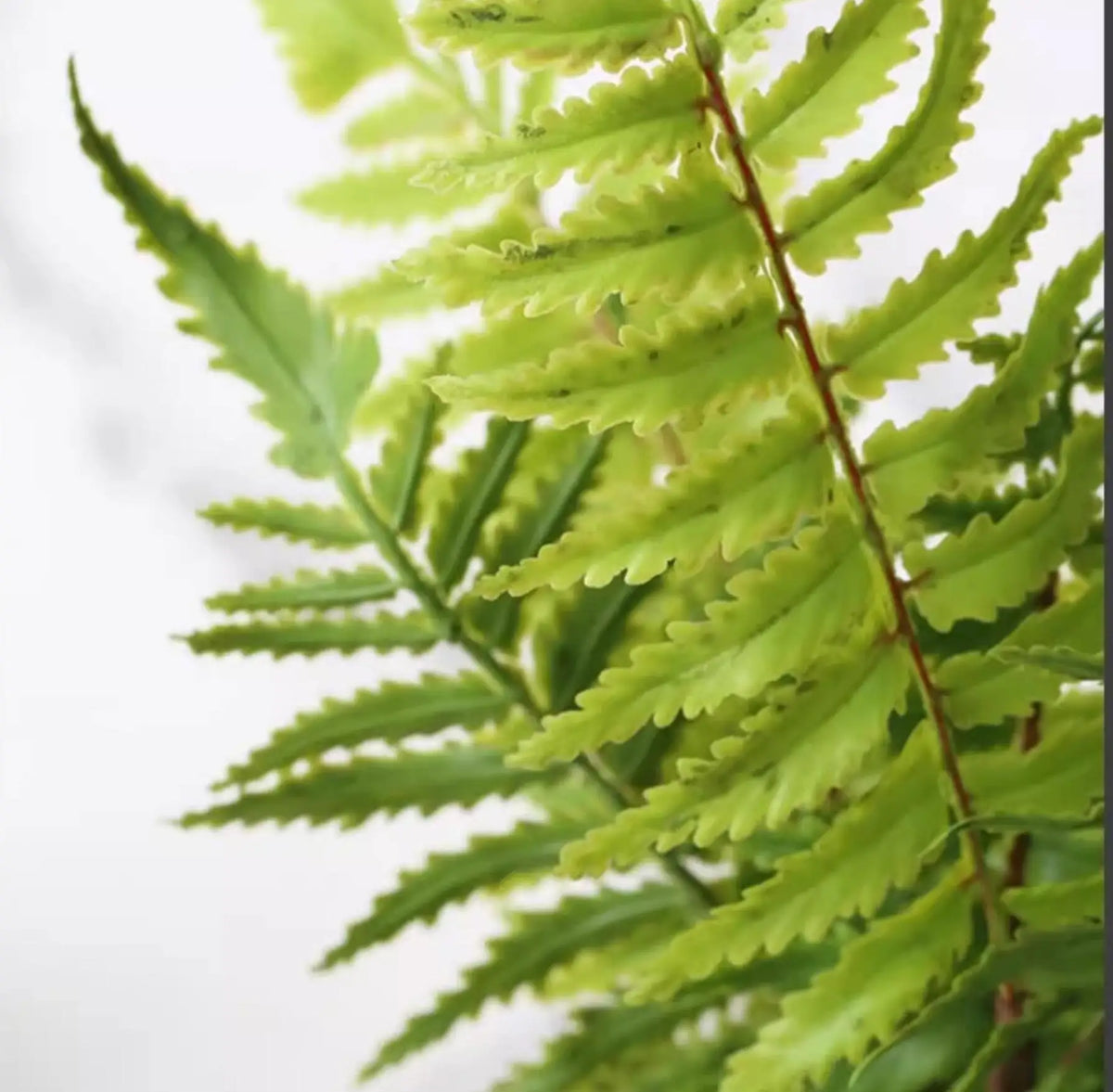 plantes artificielles feuilles fines vertes brunes modernes accrochables extérieures decoration murale naturelle