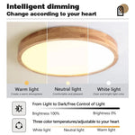 lampe bois naturel grain fin moderne pmma led 6000k 3000k télécommande