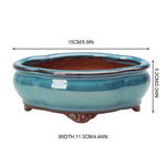 cache pot céramique bleu translucide classique plante verte décoration maison