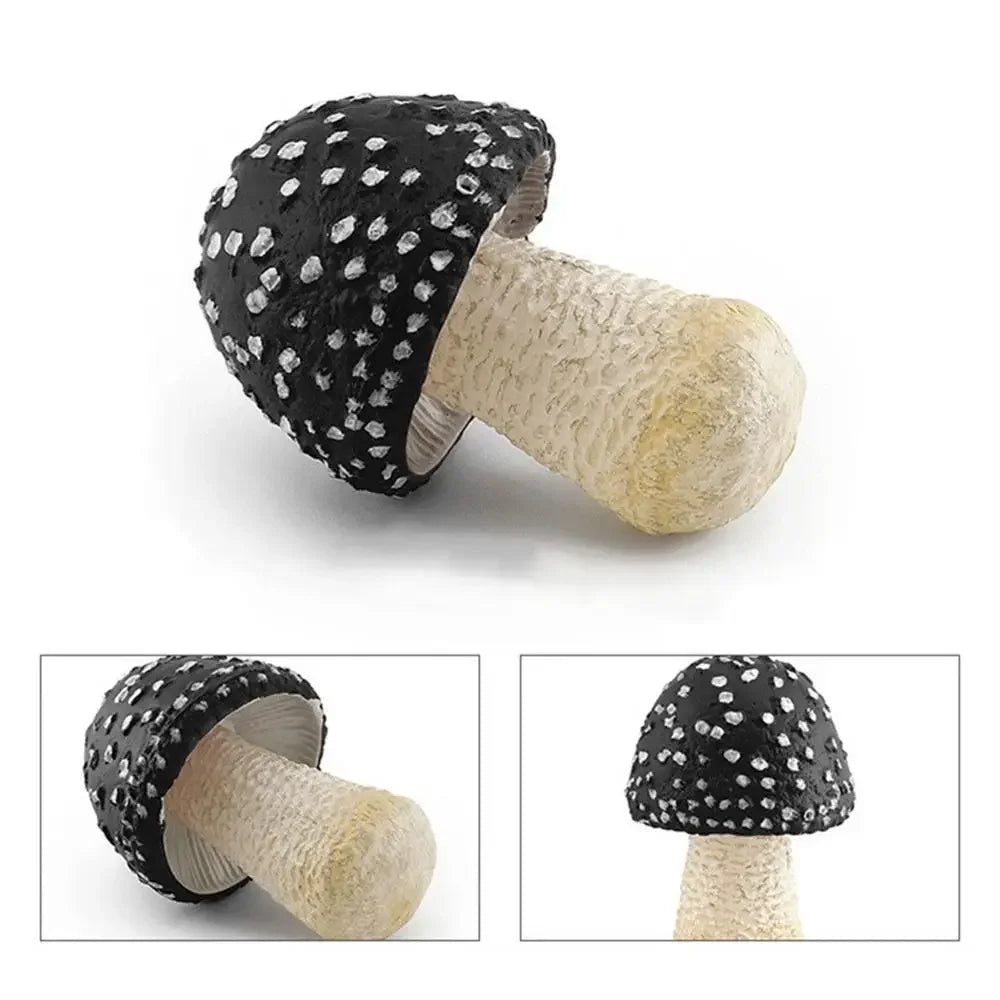 champignons décoratifs résine marron rouge lisses réels jardin decoration pointillés adultes