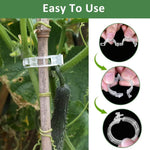 clips végétation transparent clips plastique utilitaire jardin 100pcs 200pcs 300pcs 500pcs 50pcs fixations