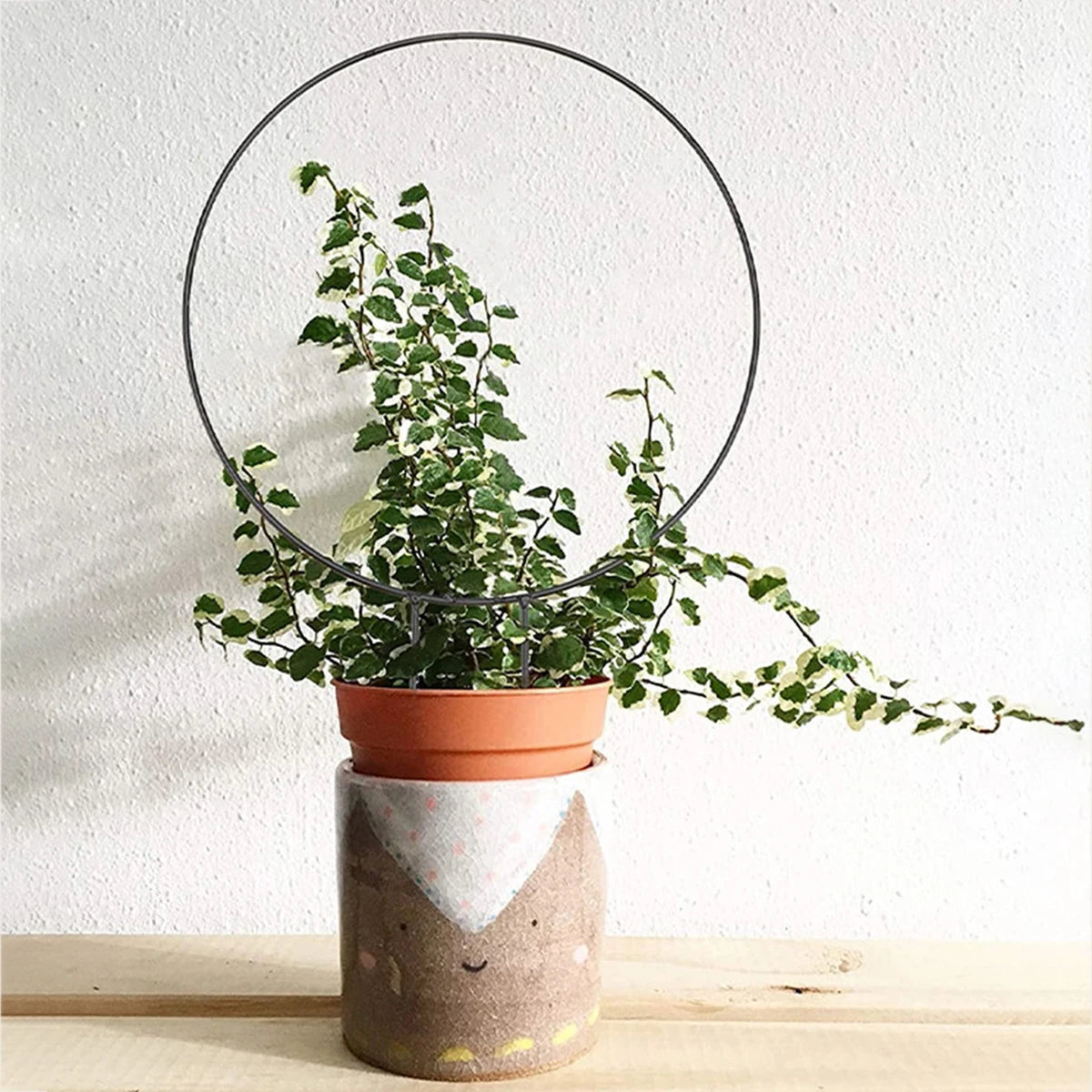 pot plante moderne clips orange gris blanc rouge plante verte fleur rose dessin animé