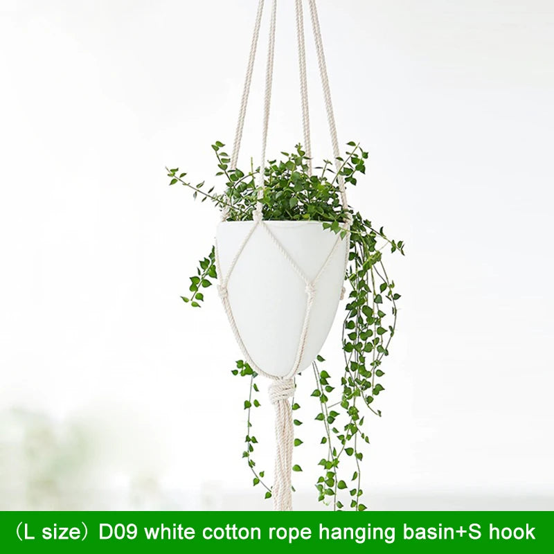 pots suspendus plantes blancs moderne forme œuf lisse acier coton fougères succulentesintérieur jardinVERTES
