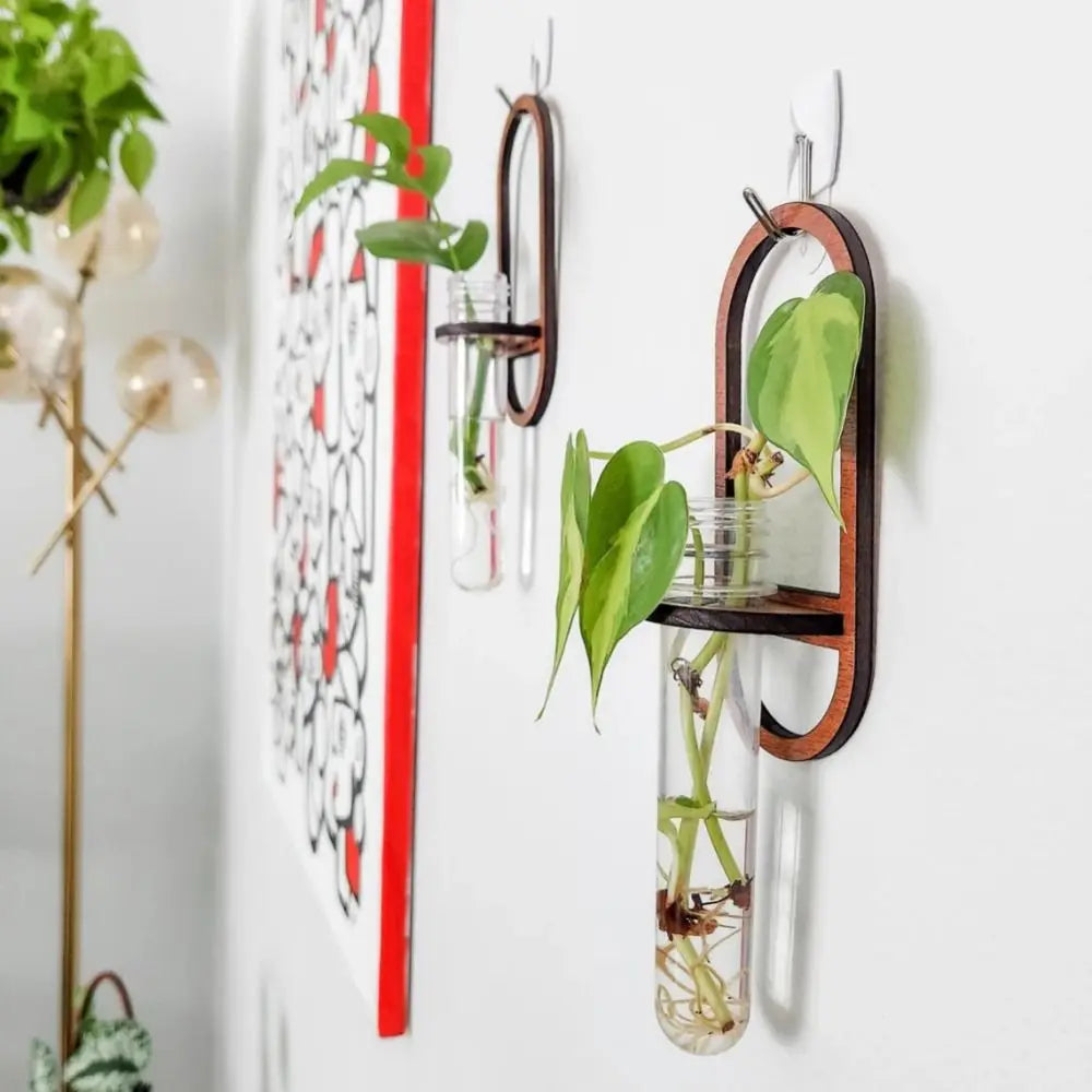 support mural moderne transparent bocal marron adhésif plante deco étagère bois minimaliste arrangement fleur