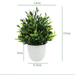 décoration intérieure plante artificielle eucalyptus bonsaï vert feuilles fines moderne sans entretien pot blanc