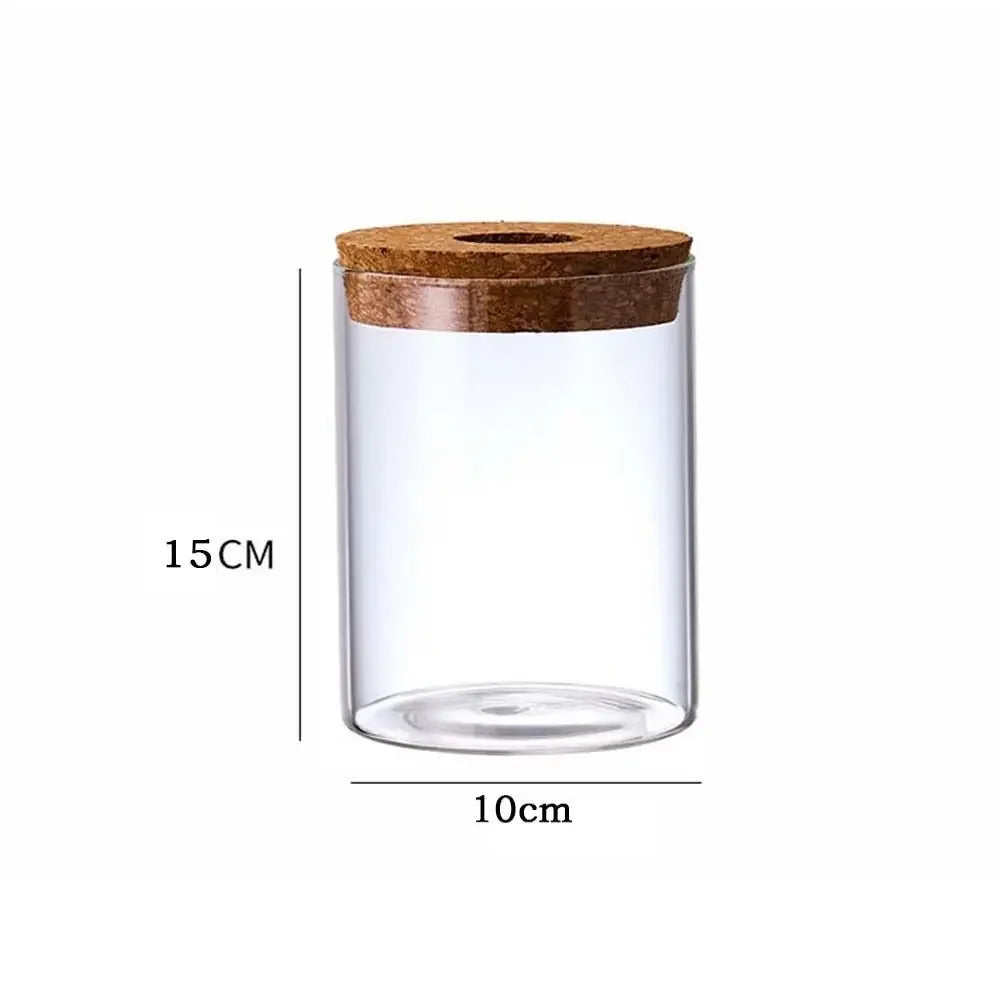 Pot plante hydroponique transparent moderne minimaliste 8cm 10cm 12cm 15cm 20cm