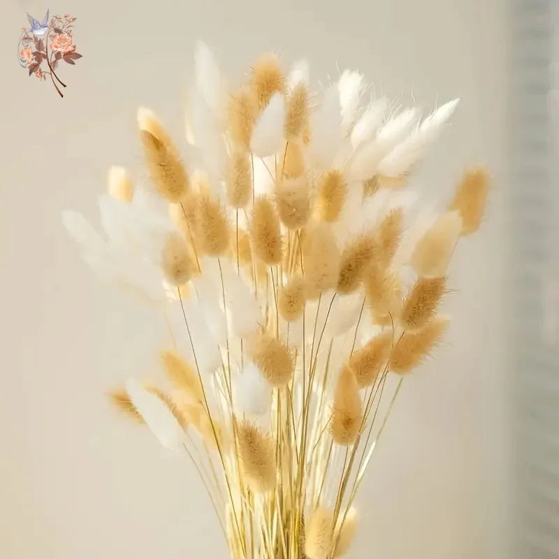 fleurs séchées naturelles bouquet ovales blanc beige décoration intérieure anniversaire mariage