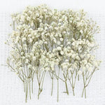 fleurs séchées blanches naturelles intérieur décoration table anniversaire fête petites fleurs tiges fines rustique