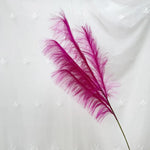 plumes décoratives intérieures violet bleu rose jaune orange blanc rouge naturel simple