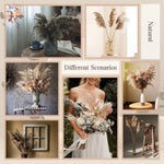 décoration maison plante séchée pampa moelleuse naturelle vase dried flowers beige rustiqueintérieur