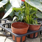 grille culture semis noire 12 trous 15 trous durable réutilisable transporte pots fleurs