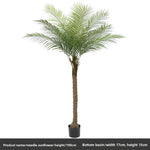 palmier artificiel décoration intérieure vert feuilles fines tronc épais moderne pot 240cm haute