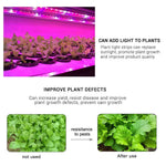 ruban led flexible rose blanc croissance plante usb alimentation 12v 5v 1m 2m 3m