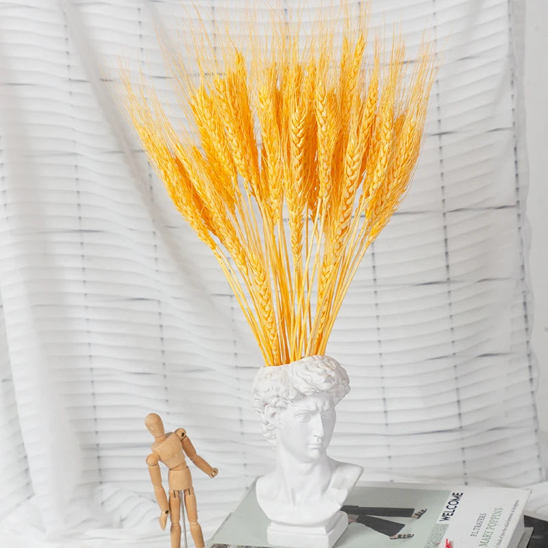 décoration maison plante séchée pampa moelleuse naturelle vase dried flowers beige rustiqueintérieur