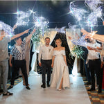 rubans led mariage argenté blanc tissé brillant moderne festif clips interrupteur 50cm