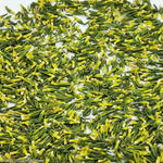 décoration intérieure herbes aromatiques séchées boîte bambou étui tissu pompons