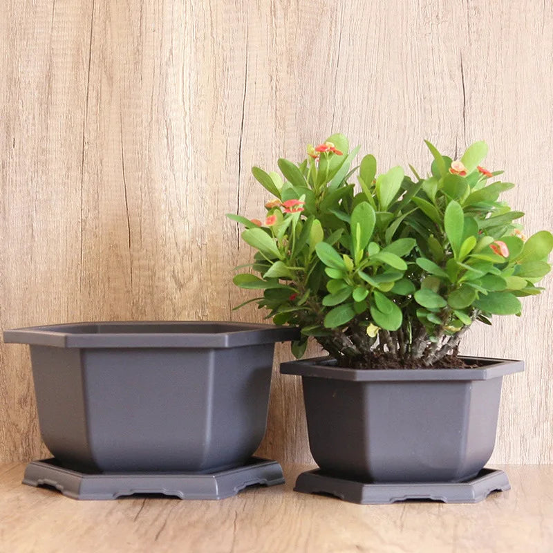 pot fleurs plastique noir plateau plante intérieure jardin extérieur