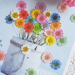 fleurs séchées multicolores bijoux résine décoration ongles maison intérieure artisanal anniversaire naturelles